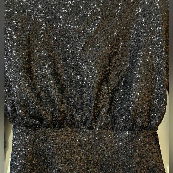 Express Long Sleeve Dress with Sequins - Picture 5 of 7